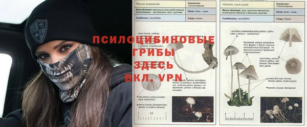 mdpv Володарск